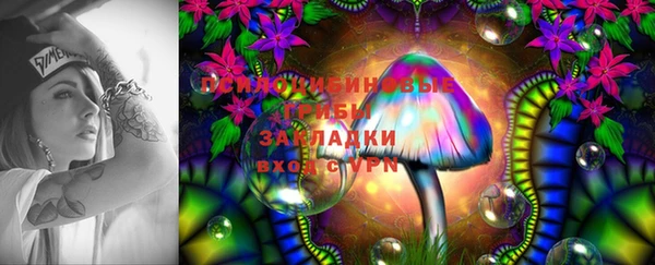 прущая мука Абаза