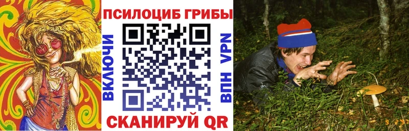 Галлюциногенные грибы GOLDEN TEACHER  Тихорецк 